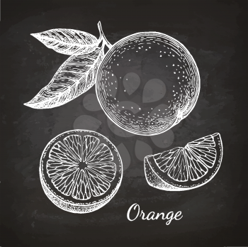 Orange set. Chalk sketch on blackboard background. Hand drawn vector illustration. Retro style.