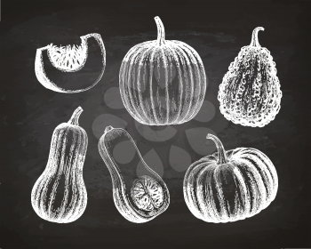 Pumpkins, butternut squash and gourd. Chalk sketch on blackboard background. Hand drawn vector illustration. Retro style.