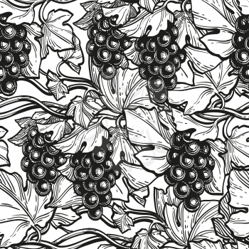 Seamless pattern with grape vine. Hand drawn vector illustration. Retro style.