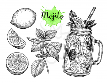 Mojito drink and ingredients. Retro style ink sketch isolated on white background. Hand drawn vector illustration.