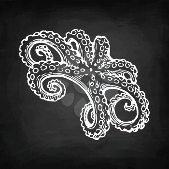 Octopus chalk sketch on blackboard background. Hand drawn vector illustration of seafood. Retro style.
