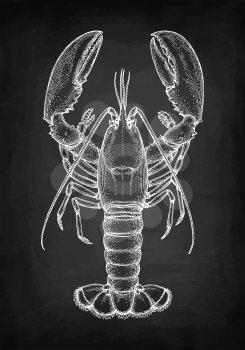 Lobster. Chalk sketch on blackboard background. Hand drawn vector illustration. Retro style.