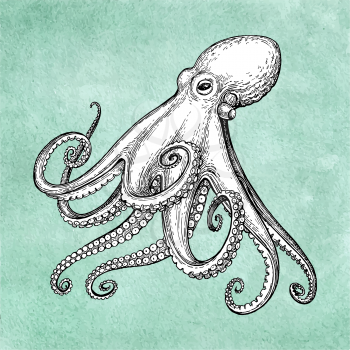 Octopus ink sketch on old paper background. Hand drawn vector illustration. Retro style.