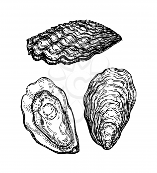Oysters ink sketch. Isolated on white background. Hand drawn vector illustration. Retro style.