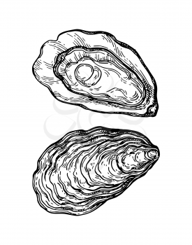 Oysters ink sketch. Isolated on white background. Hand drawn vector illustration. Retro style.