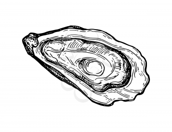Oyster ink sketch. Isolated on white background. Hand drawn vector illustration. Retro style.