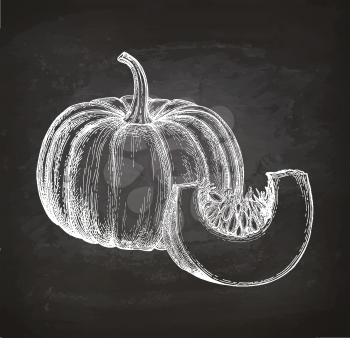 Chalk sketch of pumpkin on blackboard background. Hand drawn vector illustration. Retro style.