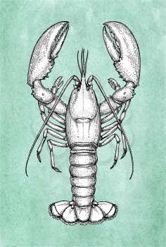Lobster ink sketch on old paper. Watercolor background. Hand drawn vector illustration. Retro style.