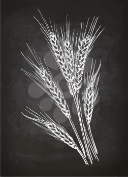 Ears of wheat. Chalk sketch on blackboard. Hand drawn vector illustration. Retro style.