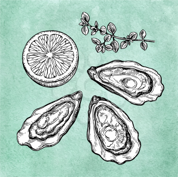 Oysters with lemon and thyme. Ink sketch on old paper background. Hand drawn vector illustration. Retro style.