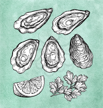 Oysters with lemon and parsley. Ink sketch on old paper background. Hand drawn vector illustration. Retro style.