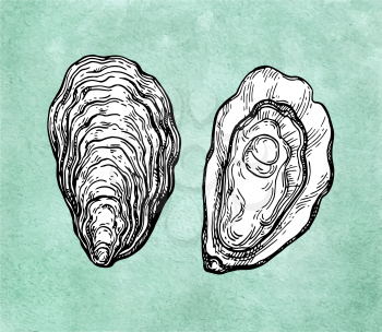 Oysters ink sketch on old paper background. Hand drawn vector illustration. Retro style.