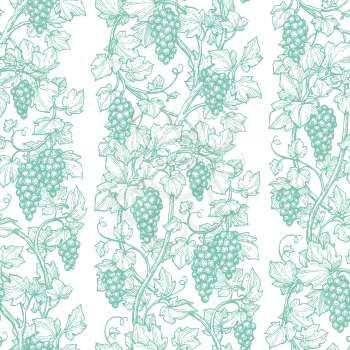 Seamless pattern with grape vine. Hand drawn vector illustration. Retro style.