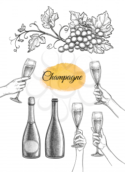 Bunches of grapes, clinking glasses and champagne bottles. Ink sketch isolated on white background. Hand drawn vector illustration. Retro style.