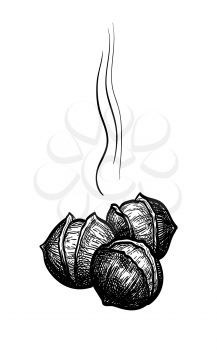 Hot roasted chestnuts. Ink sketch isolated on white background. Hand drawn vector illustration. Retro style.
