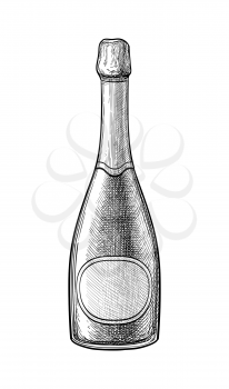 Champagne bottle. Ink sketch isolated on white background. Hand drawn vector illustration. Retro style.