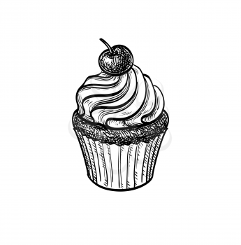 Cupcake with cherry. Ink sketch isolated on white background. Hand drawn vector illustration. Retro style.