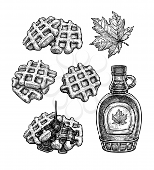 Set of ink sketches. Waffles with maple syrup. Hand drawn vector illustration isolated on white background. Retro style.