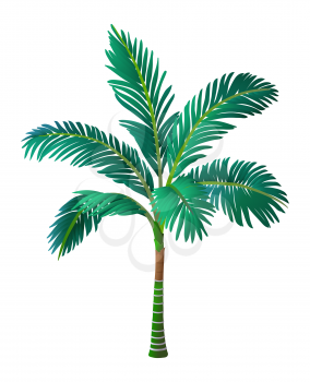 Vector illustration of palm tree. Isolated on white background.