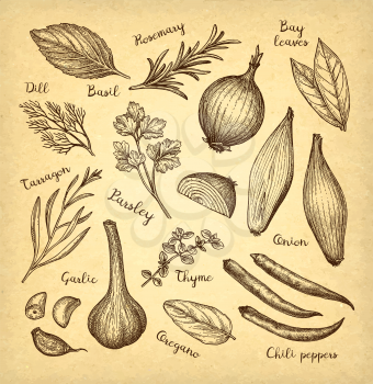 Food ingredients. Ink sketch on old paper background. Hand drawn vector illustration. Retro style.