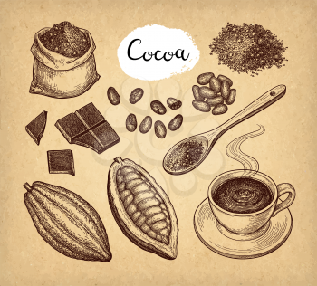 Cocoa and chocolate set. Ink sketch on old paper background. Hand drawn vector illustration. Retro style.