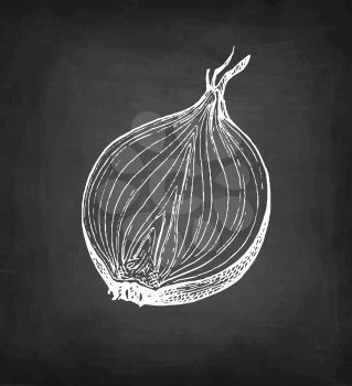 Chalk sketch of onion on blackboard background. Hand drawn vector illustration. Retro style.