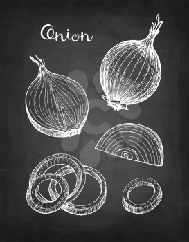 Chalk sketch of onion on blackboard background. Hand drawn vector illustration. Retro style. 