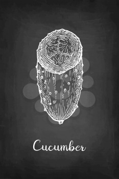 Chalk sketch of cucumber on blackboard background. Hand drawn vector illustration. Retro style.