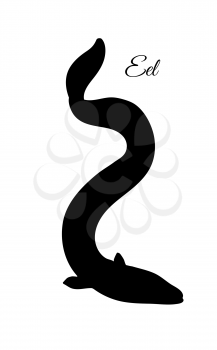 Japanese eel. Fish silhouette isolated on white background.