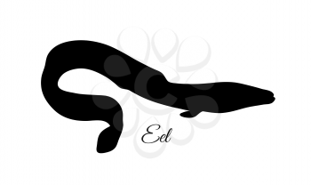 Japanese eel. Fish silhouette isolated on white background.