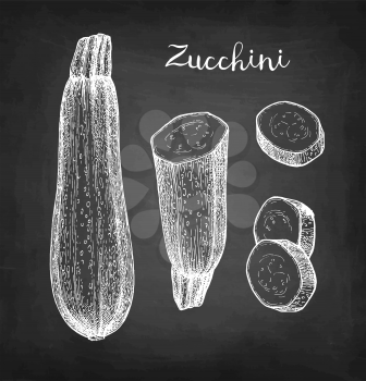Zucchini. Chalk sketch on blackboard background. Hand drawn vector illustration. Retro style.