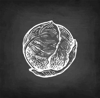 Brussels sprout. Chalk sketch on blackboard background. Hand drawn vector illustration. Retro style.