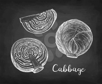 Chalk sketch of cabbage on blackboard background. Hand drawn vector illustration. Retro style.