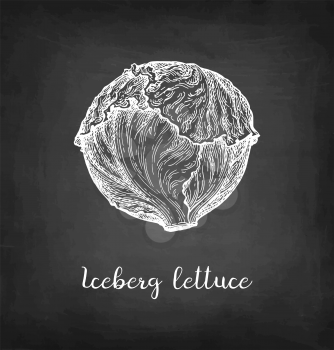 Lettuce iceberg. Chalk sketch on blackboard background. Hand drawn vector illustration. Retro style.