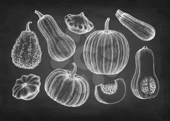 Collection of pumpkins. Chalk sketch of butternut squash, pattypan and zucchini on blackboard background. Hand drawn vector illustration. Retro style
