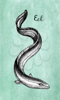 Japanese eel. Ink sketch of fish on old paper background. Hand drawn vector illustration. Retro style.