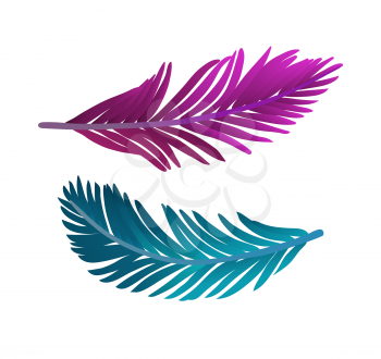 Vector illustration of colored plume. Isolated on white background.