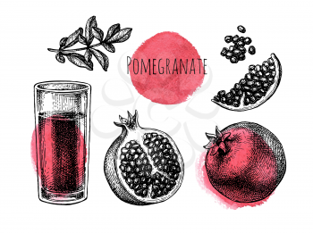 Pomegranate set. Fruits, seeds and branch. Glass of juice. Ink sketch isolated on white background. Hand drawn vector illustration. Retro style.