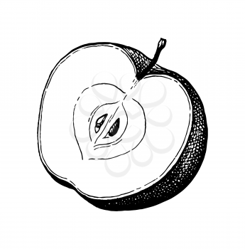 Sliced apple. Ink sketch isolated on white background. Hand drawn vector illustration. Retro style.