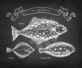 Flatfish. Halibut, common sole and flounder. Chalk sketch on blackboard background. Hand drawn vector illustration. Retro style.