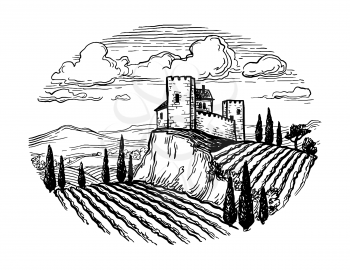 Hand drawn vineyard landscape. Ink sketch isolated on white background. Vintage style vector illustration.