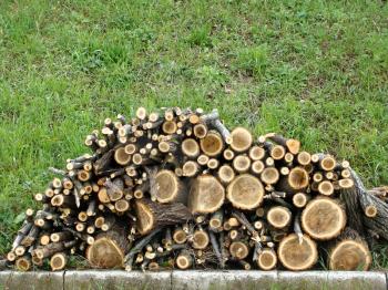 Woodpile of firewood is piled on the grass in the yard of the farmhouse.