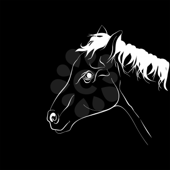 Horse head in profile. Elegant white horse silhouette on black background.
