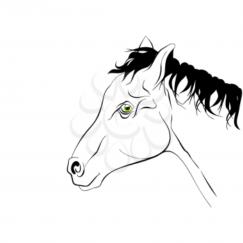 Horse head in profile. Elegant black and white silhouette horse with realistic green eyes.