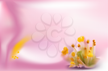Delicate abstract background for card with a pink Orchid