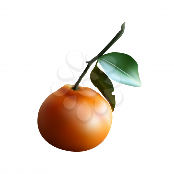 Realistic image mesh natural sweet fruit Mandarin for vitamin-rich diet.
