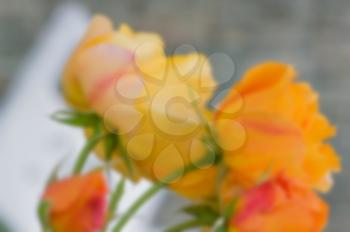 Abstract floral blur in shades of yellow. Blurred red flower background for magazines and booklets, greeting cards.