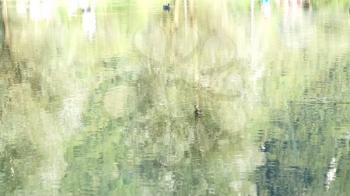 Shot of lake scenic in summer. Blurred nature unfocused background. Lake and forest.