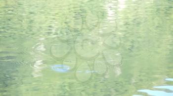 Shot of lake scenic in summer. Blurred nature unfocused background. Lake and forest. rod and float.