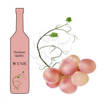 Fresh bunch of grapes purple pink on white background. bottle of wine. Manufacturer of fresh juices and wine. Health and parties.